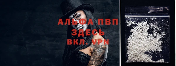 крисы Верея