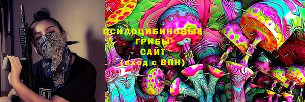 крисы Верея