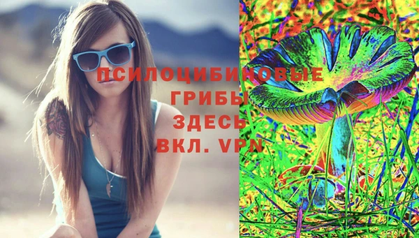 винт Бронницы
